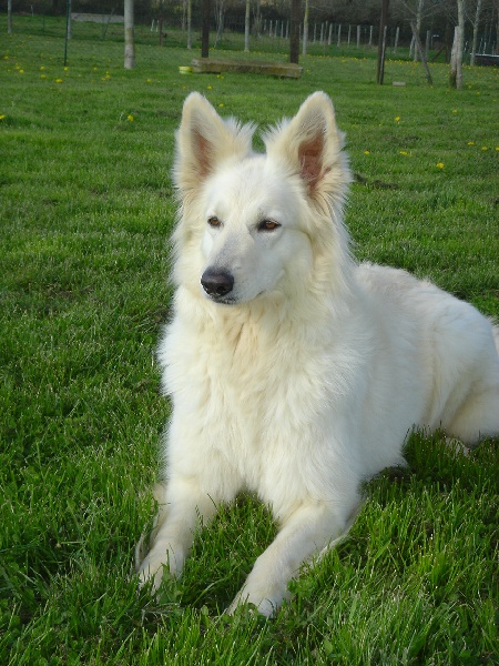 Utopie Du mas de la fresnay