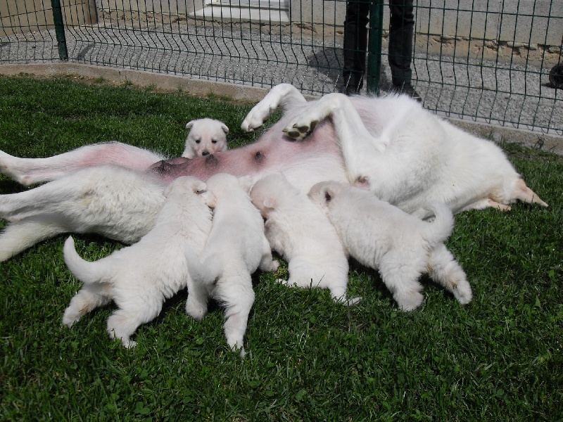 Les photos coup de coeur